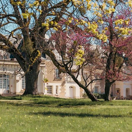 Céré-la-Ronde Chateau De Razay מראה חיצוני תמונה